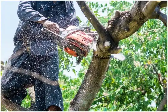 tree services Melville